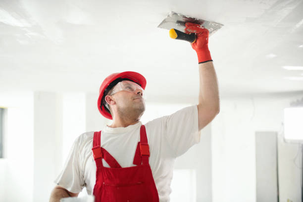Best Basement Mold Removal  in South Fulton, GA