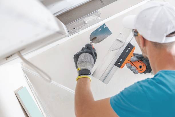 Best Mold Documentation for Insurance Claims  in South Fulton, GA